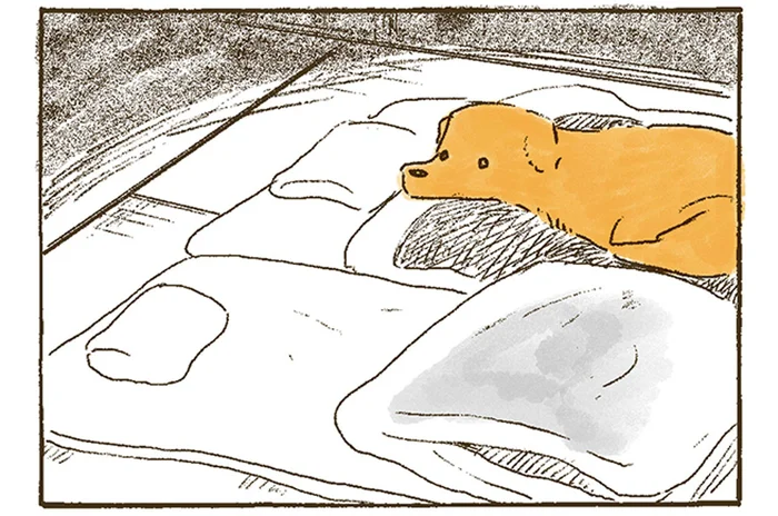 おばあちゃんがいない!?目を覚ましたレトリバーが慌てて鳴くと