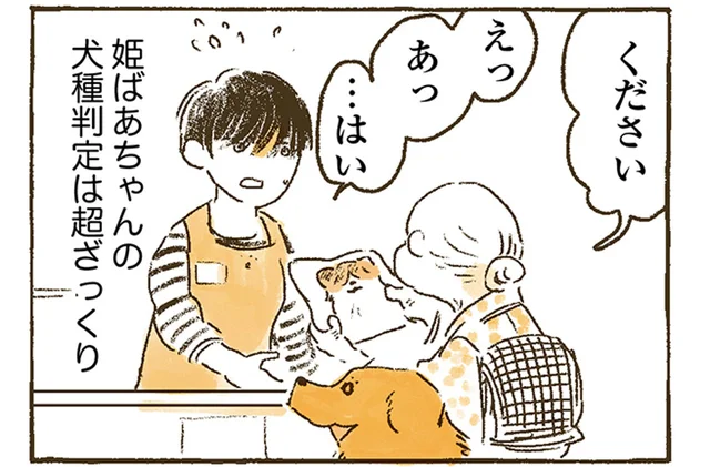 おばあちゃんの目に映るのは、どの子もナイト？ざっくりすぎる犬種判定