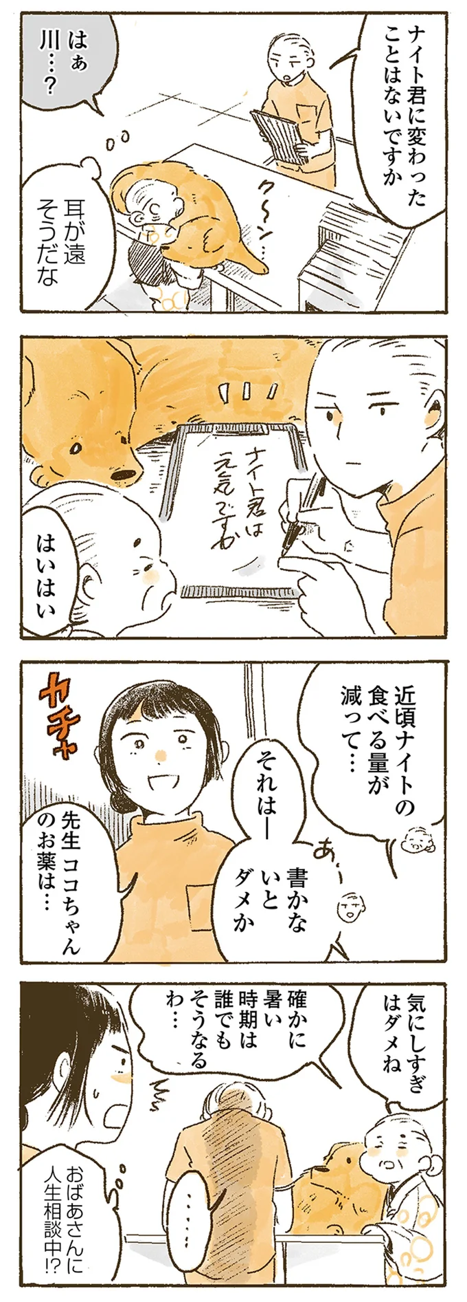 ナイト君に変わったことはないですか