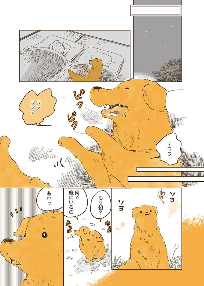 もう朝？なんで庭にいるの