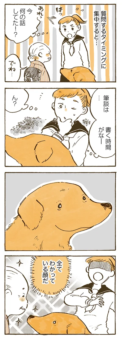 全てわかっている顔だ