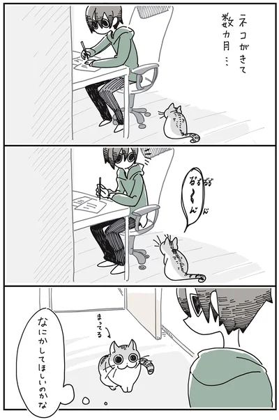 ネコがきて数ヵ月…