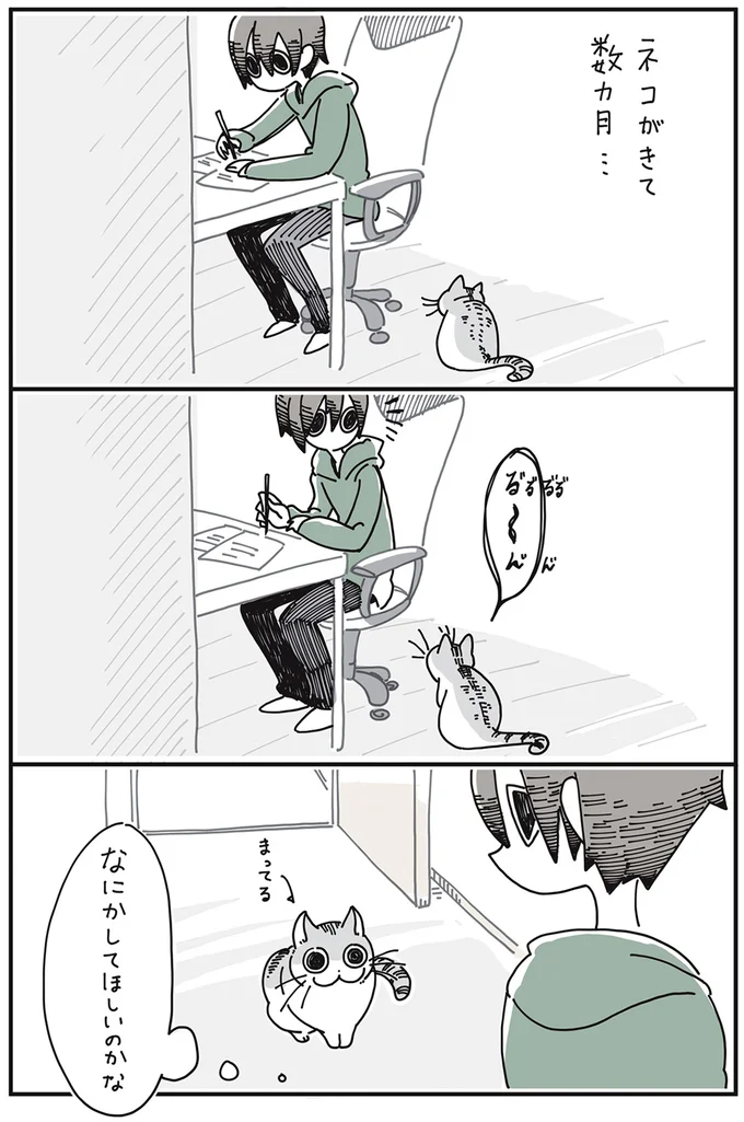 ネコがきて数ヵ月…