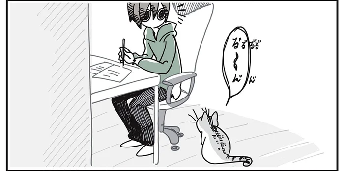 ものすっごい目が合う。猫が来て数カ月、構ってほしそうに見てくるのは何？