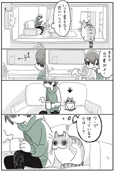 『夜は猫といっしょ』より