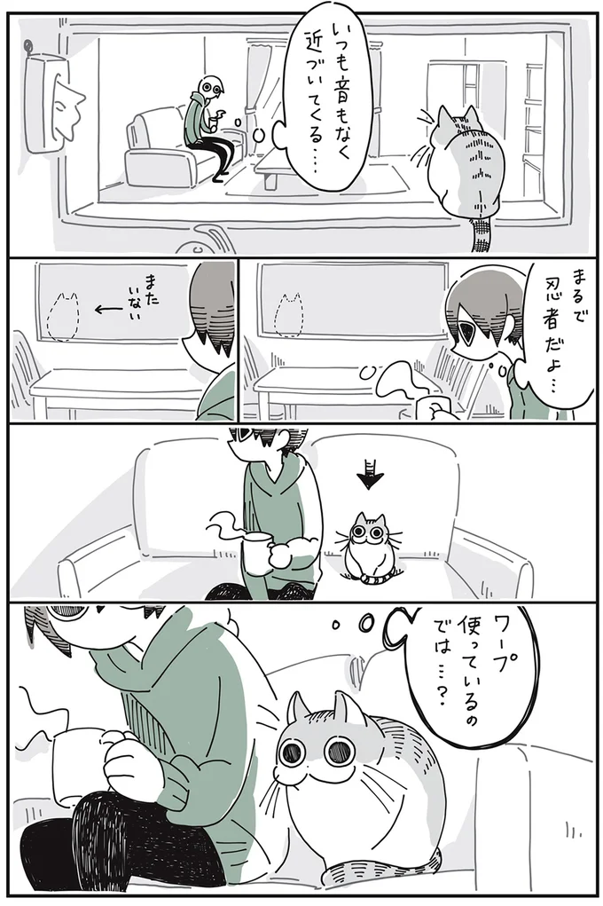 『夜は猫といっしょ』より