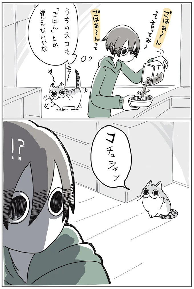 『夜は猫といっしょ』より