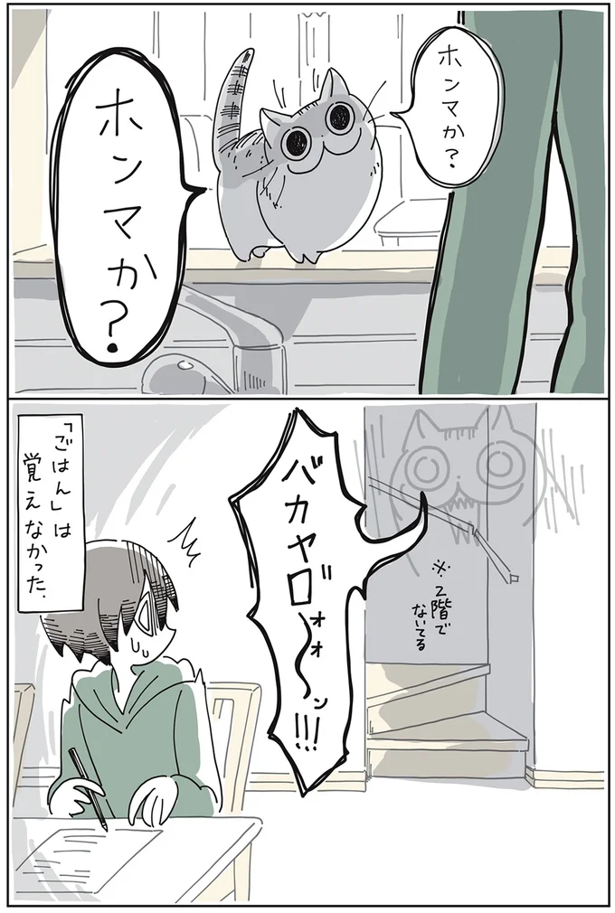 『夜は猫といっしょ』より