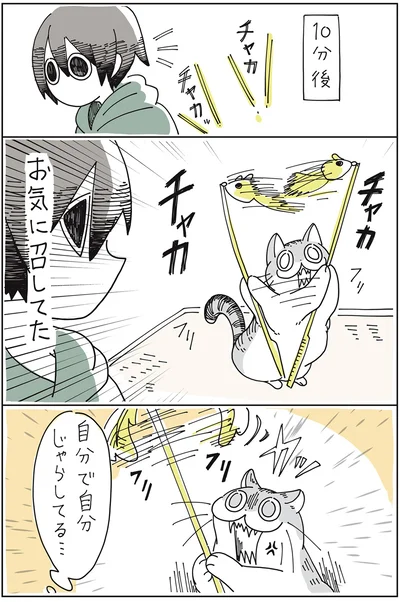 『夜は猫といっしょ』より