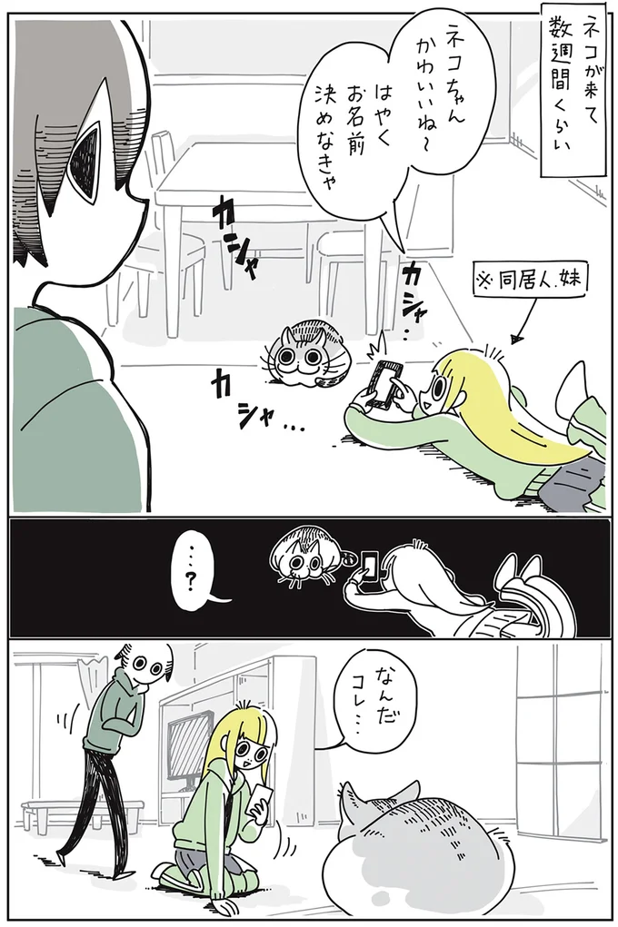 『夜は猫といっしょ』より