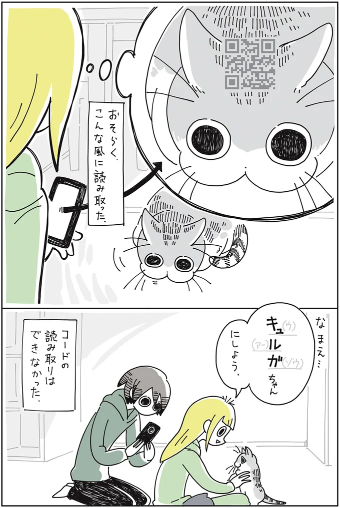 『夜は猫といっしょ』より