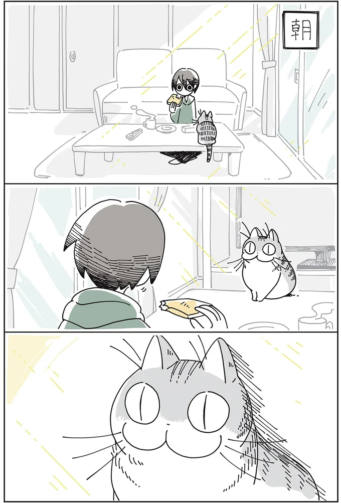 『夜は猫といっしょ』より