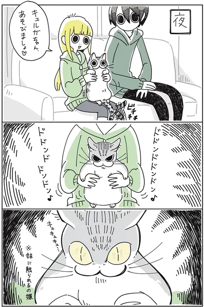 『夜は猫といっしょ』より