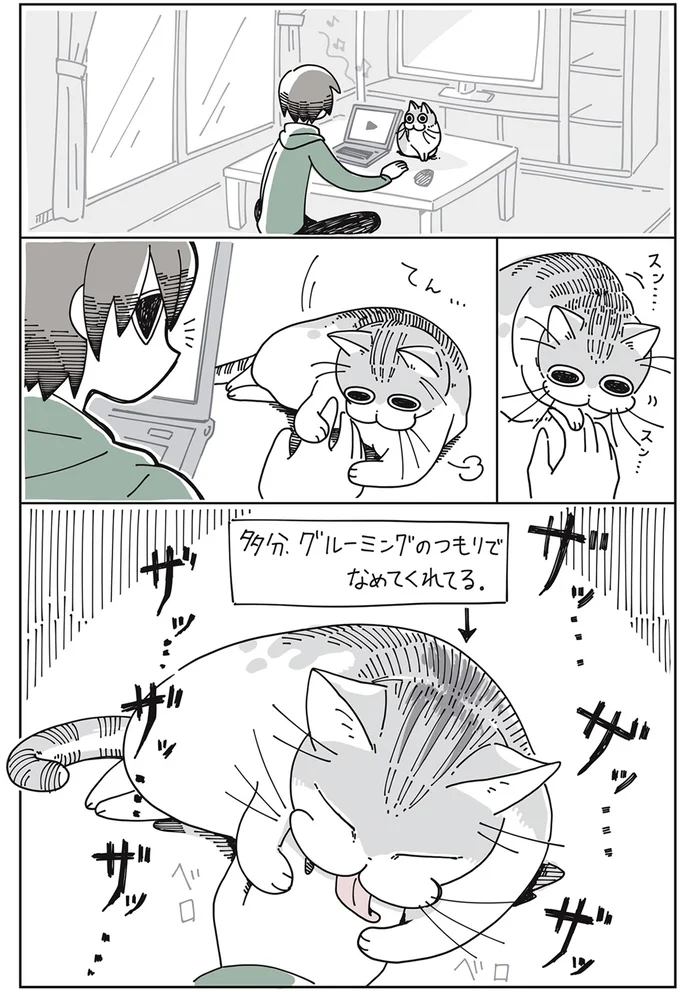 『夜は猫といっしょ』より