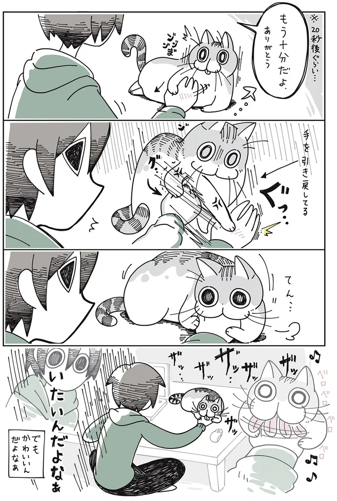 『夜は猫といっしょ』より