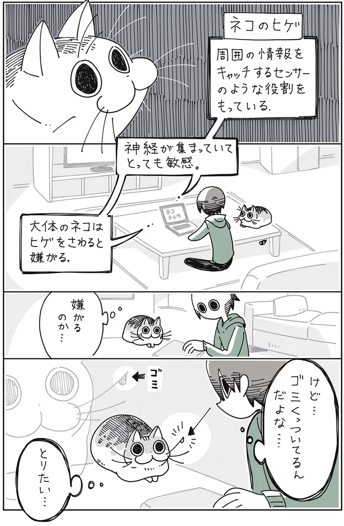 『夜は猫といっしょ』より