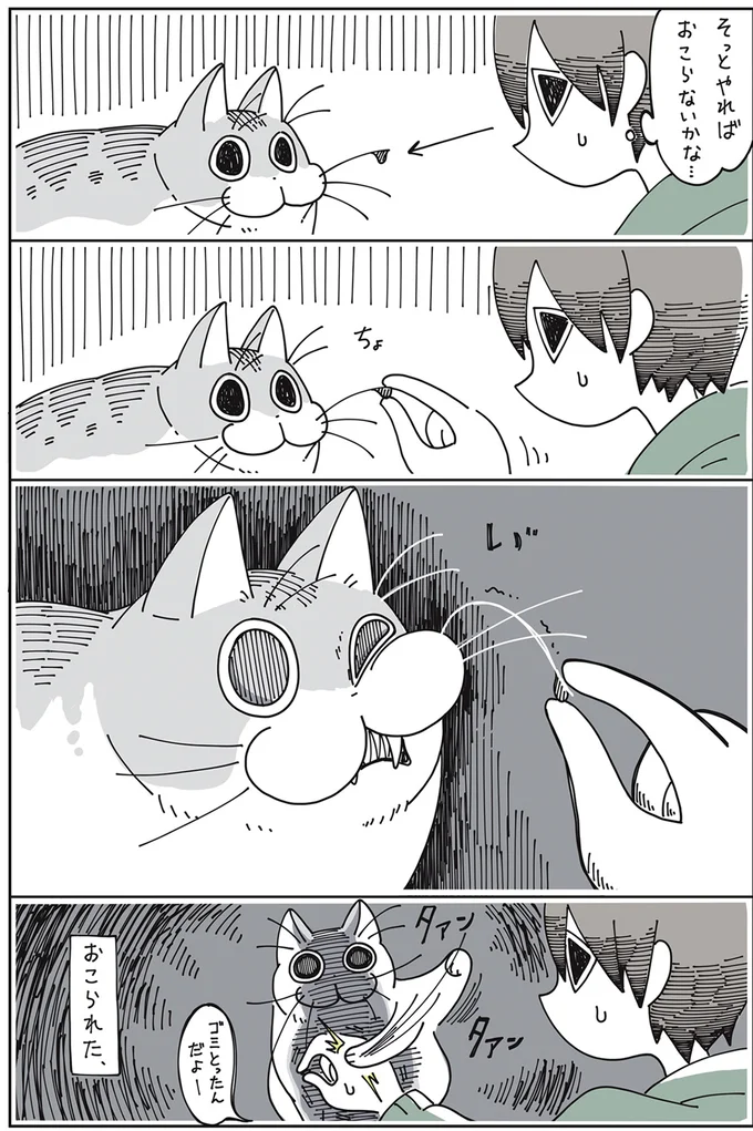 『夜は猫といっしょ』より