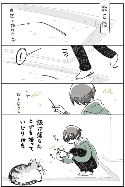 『夜は猫といっしょ』より