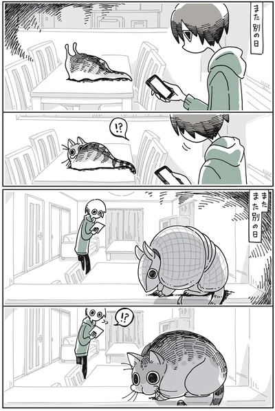 『夜は猫といっしょ』より