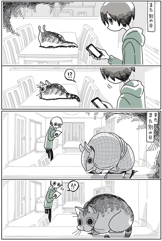 『夜は猫といっしょ』より