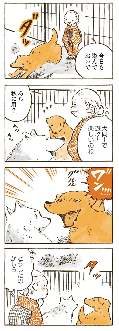 今日も遊んでおいで