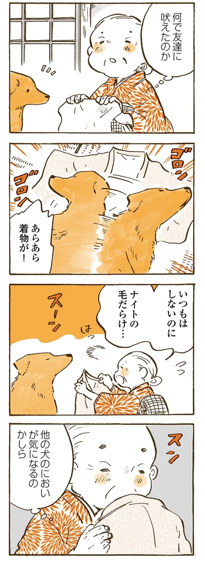 他の犬のにおいが気になるのかしら