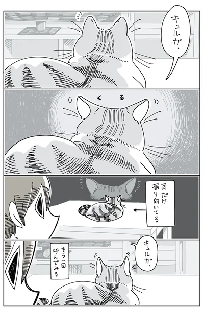 耳だけ振り向いてる