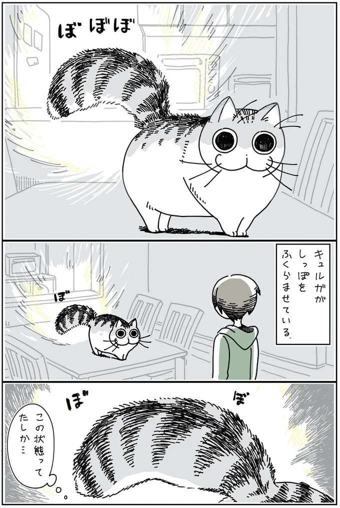 『夜は猫といっしょ 2』より