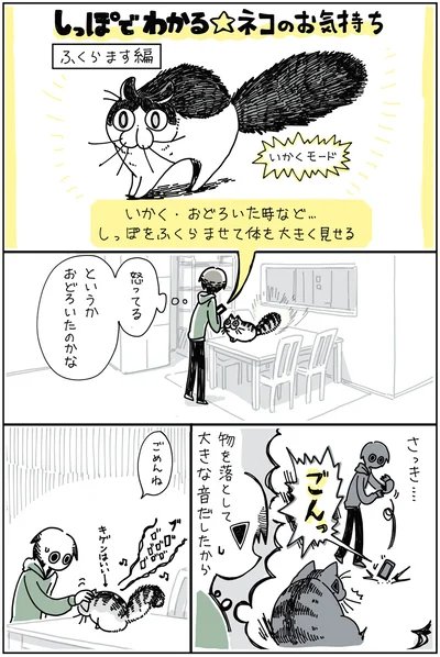 『夜は猫といっしょ 2』より