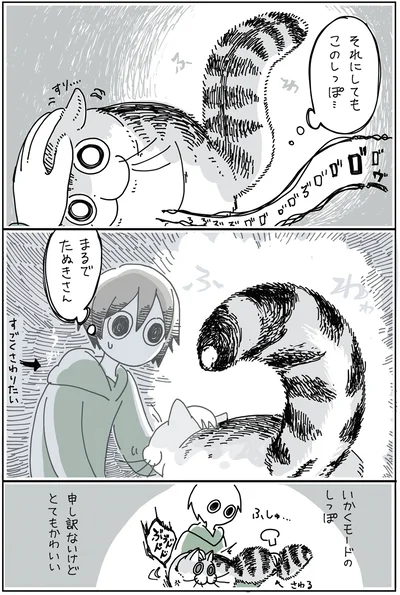 『夜は猫といっしょ 2』より