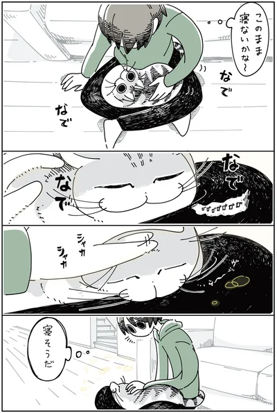 『夜は猫といっしょ 2』より