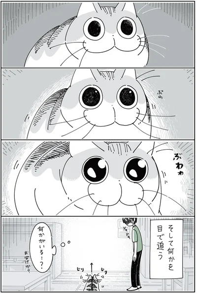 『夜は猫といっしょ 2』より