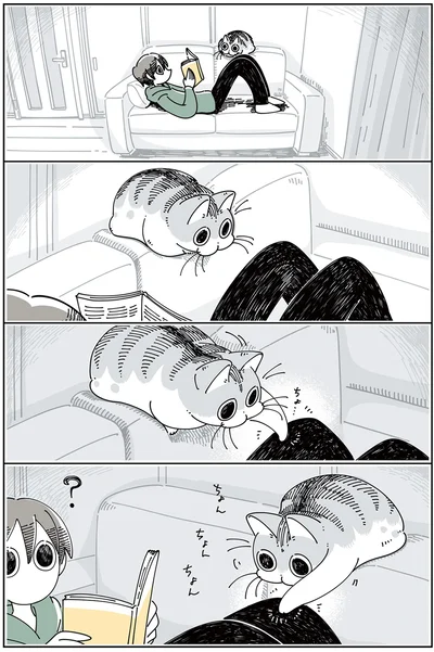 不思議な場所でくつろぐネコ