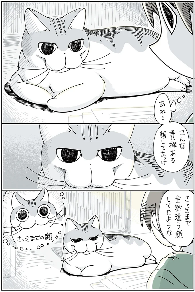 『夜は猫といっしょ 3』より