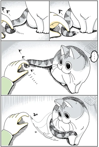 『夜は猫といっしょ 3』より