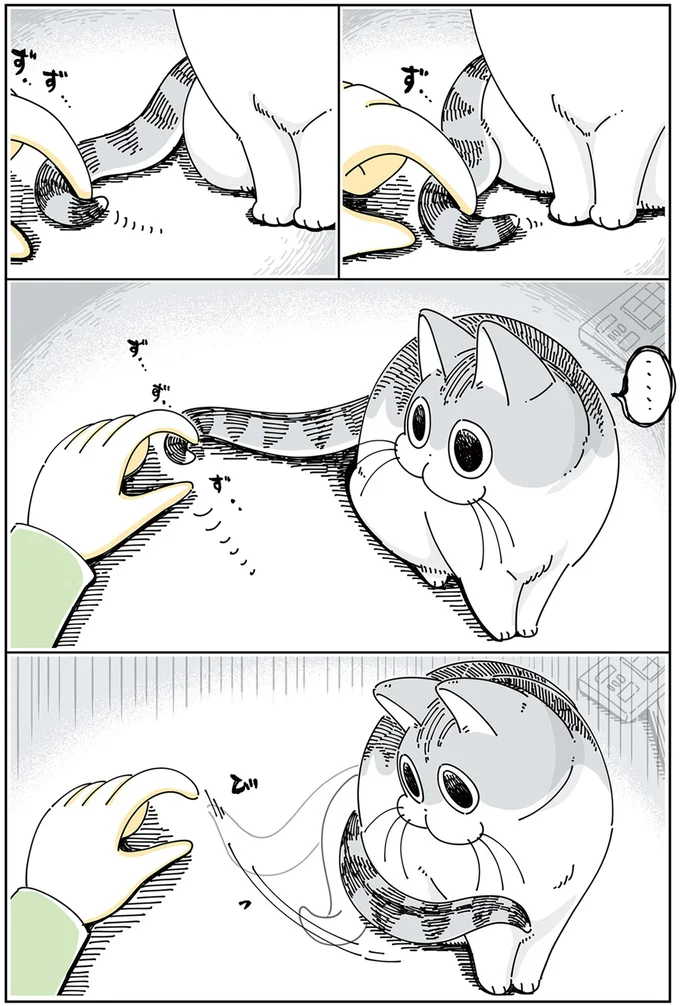 『夜は猫といっしょ 3』より