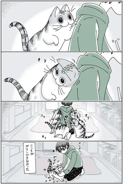 『夜は猫といっしょ 3』より