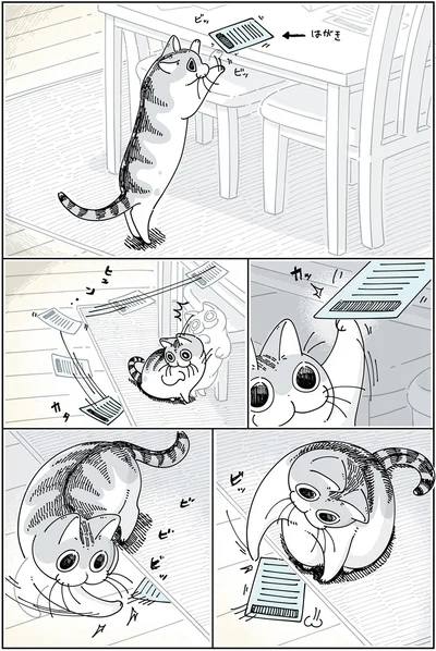 『夜は猫といっしょ 3』より