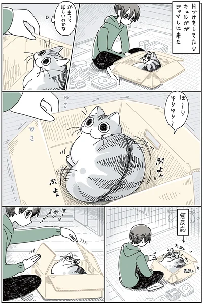 『夜は猫といっしょ 3』より