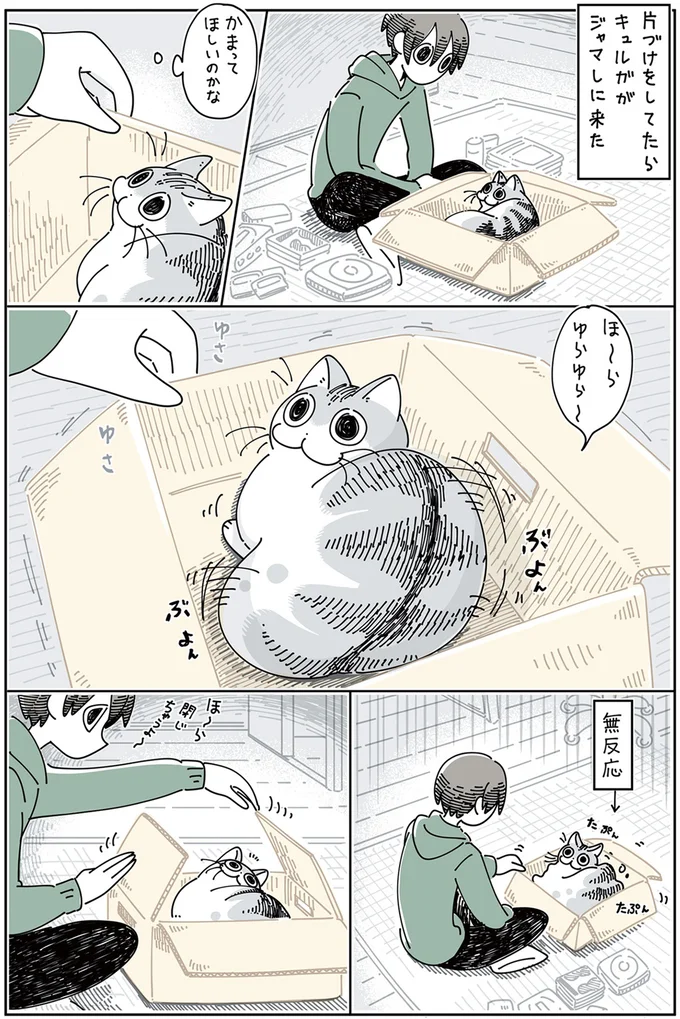 『夜は猫といっしょ 3』より