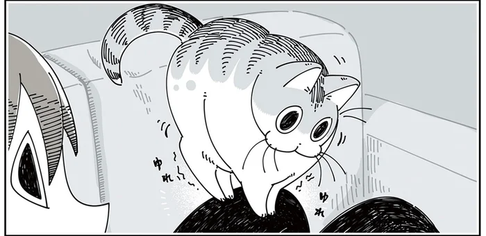 バランス悪くない？ 落ち着けなさそうな不思議な場所に座る猫