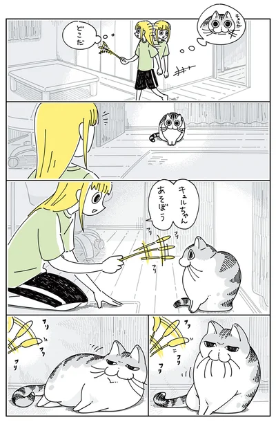 気分じゃないっぽい