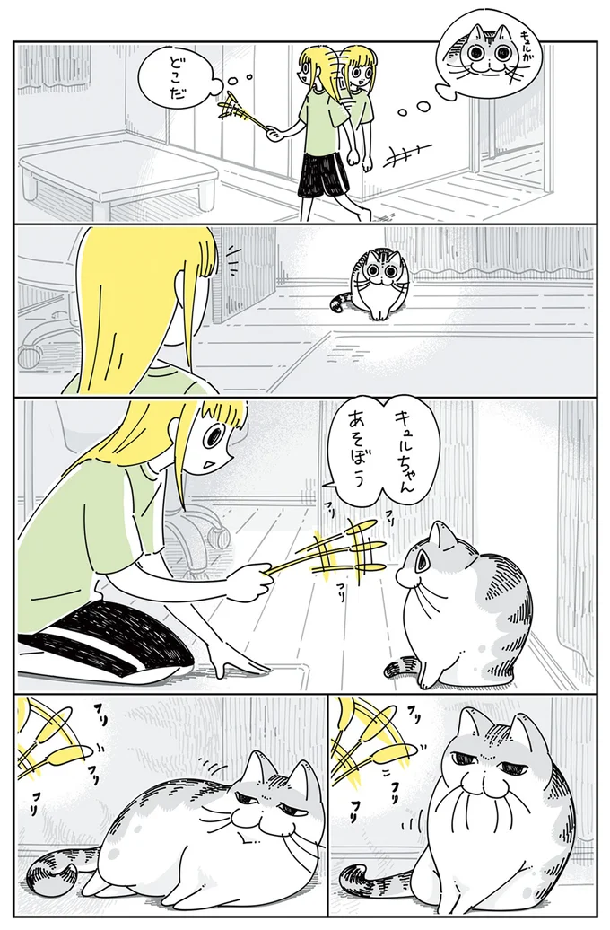 気分じゃないっぽい