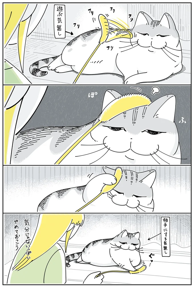 相手にする気なし