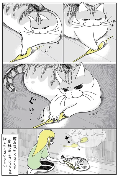 一度触ったネコじゃらしは放したくないらしい