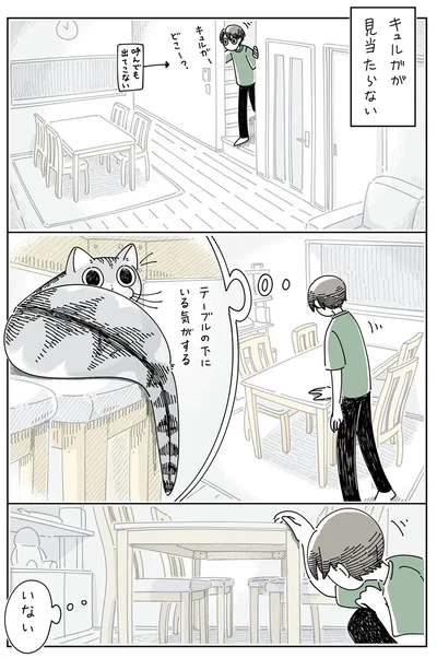 ネコがどこにも見当たらない