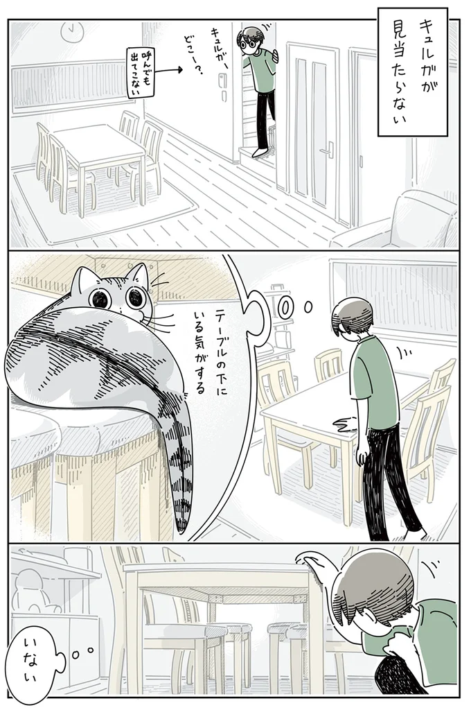 ネコがどこにも見当たらない