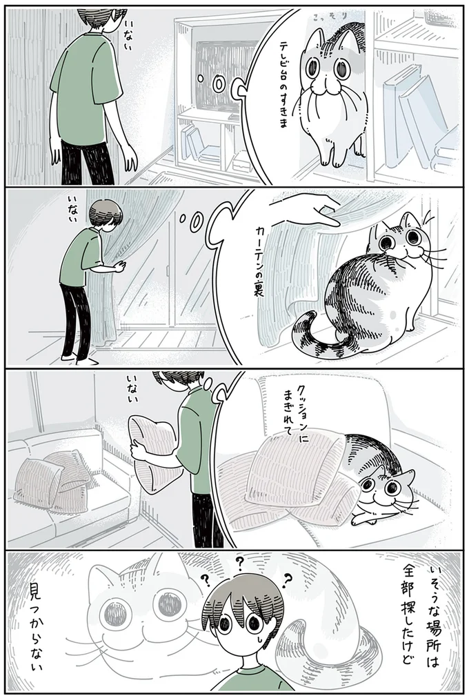 いそうな場所は全部探したけど