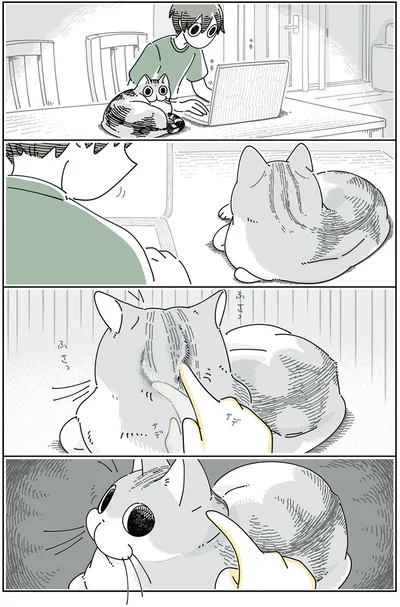 『夜は猫といっしょ 4』より