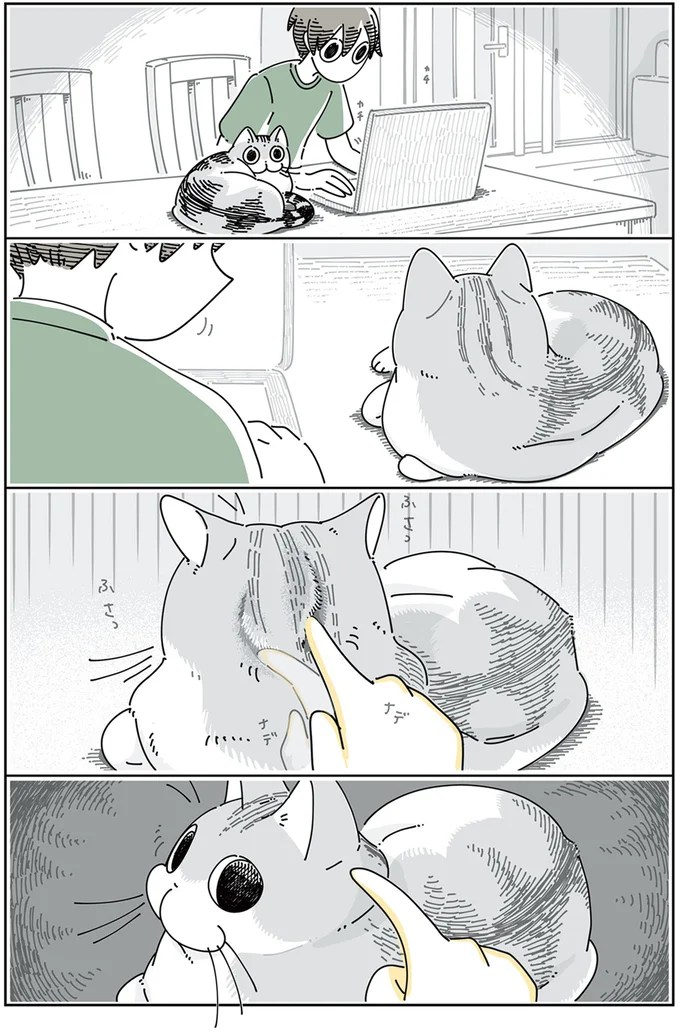 『夜は猫といっしょ 4』より